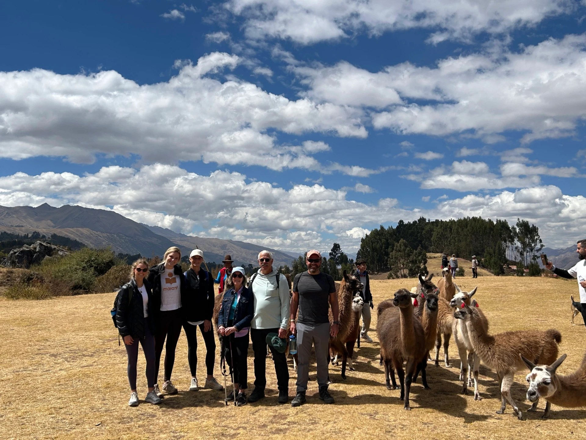 The group standing in a golden field with a herd of llamas and Andean peaks behind