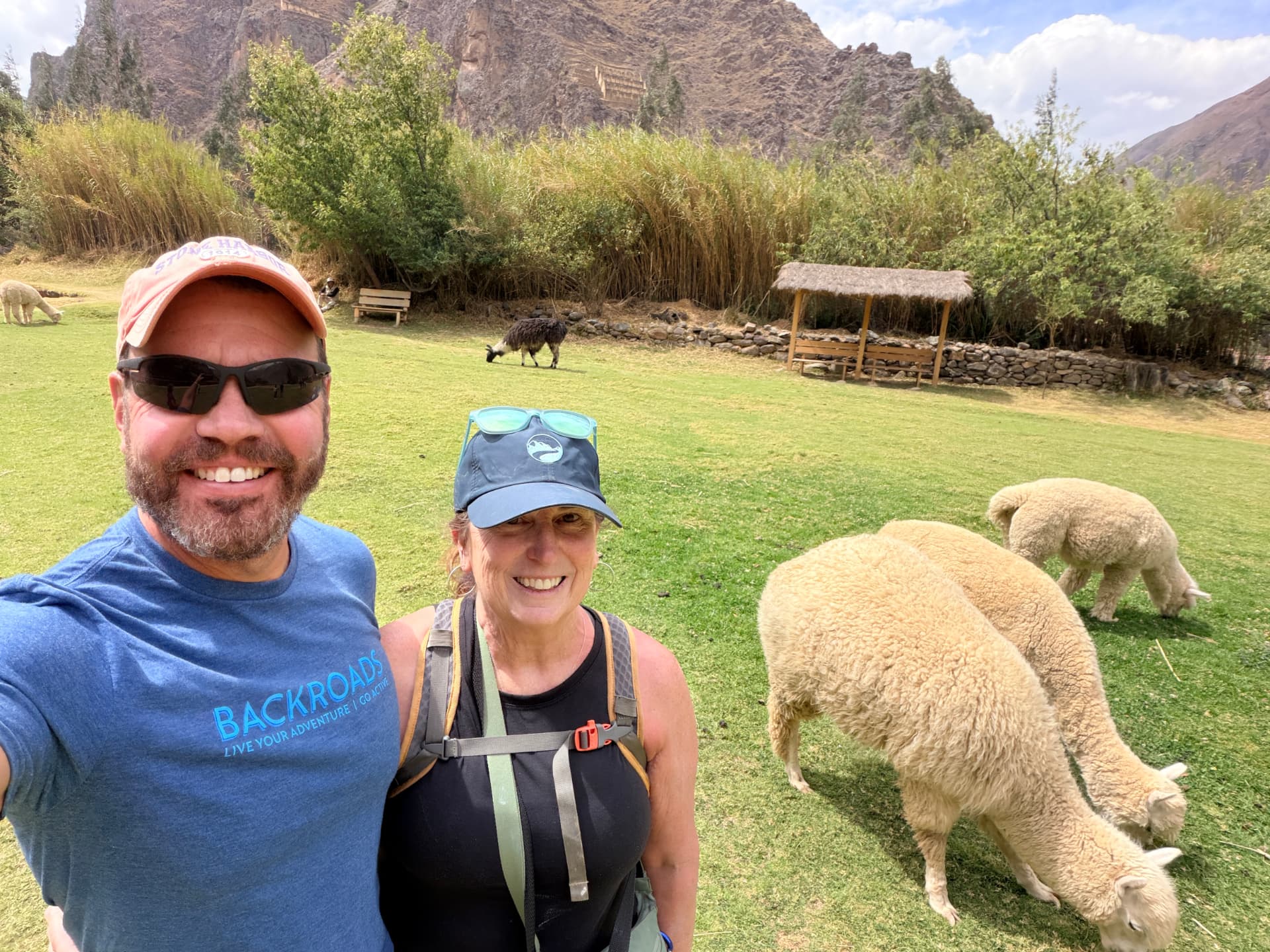 Kevin in a Backroads shirt and Joan taking a selfie with alpacas grazing behind them