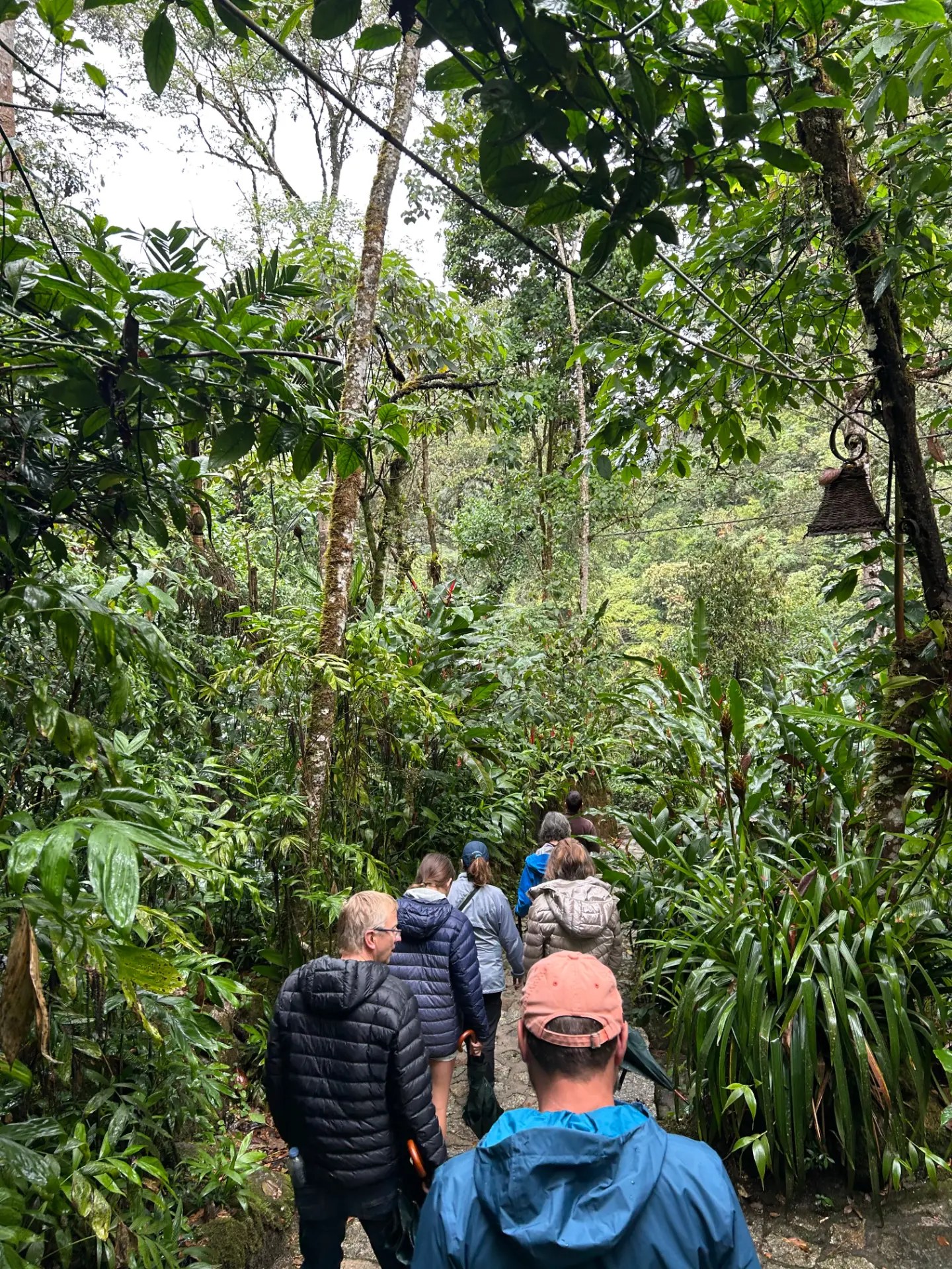 The group walking a stone path through dense cloud forest at Inkaterra Machu Picchu Pueblo